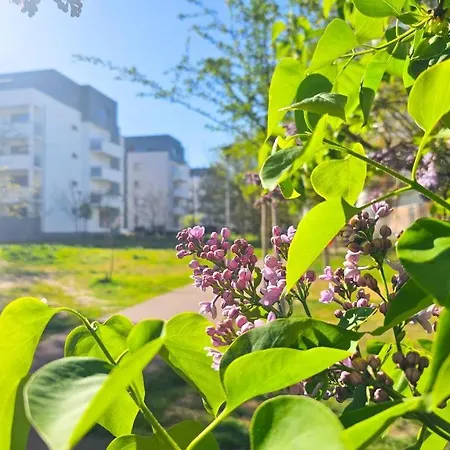 Visit Baltic - Scandi Platan Apartment *