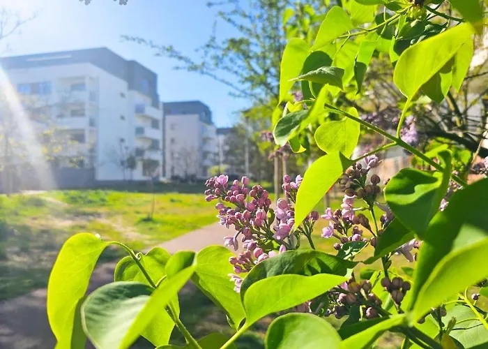 Visit Baltic - Scandi Platan 公寓 *